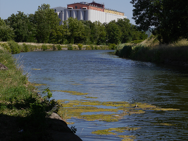 IMG CONFLUENCE